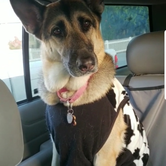 Meet your Posher, Kim - Picture 1 of 1